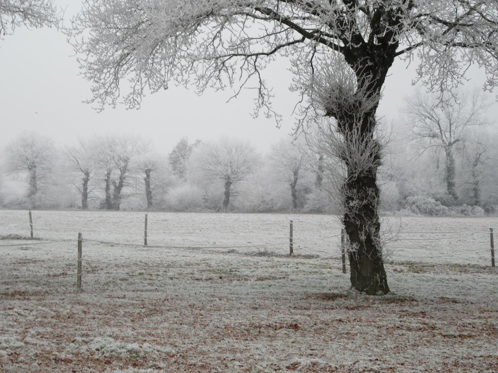 Les Gites D'Emilie Melesse Esterno foto