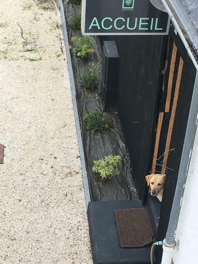 Les Gites D'Emilie Melesse Esterno foto